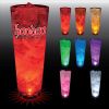 24 oz Lighted Single Light Pilsner